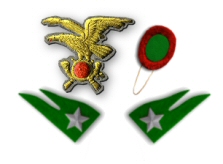 fregio mostrine e nappina alpini da posizione.jpg